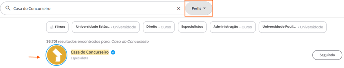 Exemplo da tela com o filtro Perfis